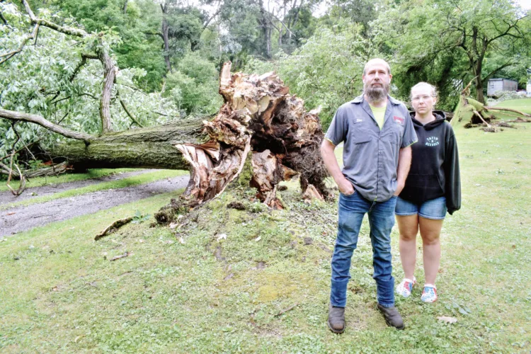 Surveying the damage